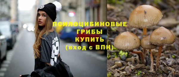 не бодяженный Горнозаводск