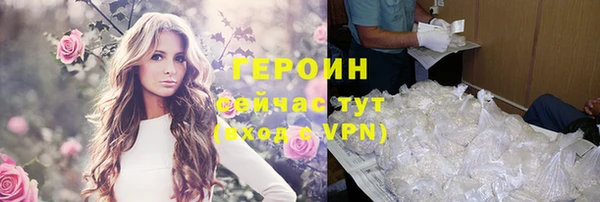 гидра Горняк