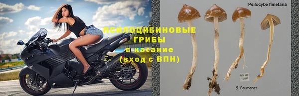 не бодяженный Горнозаводск