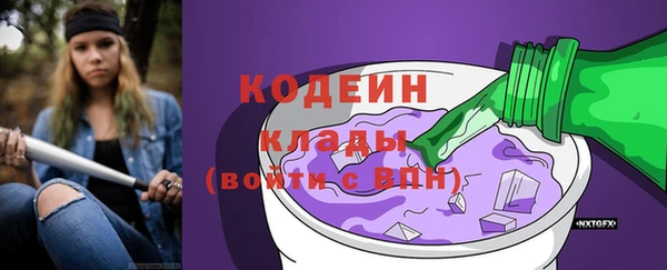 гидра Горняк