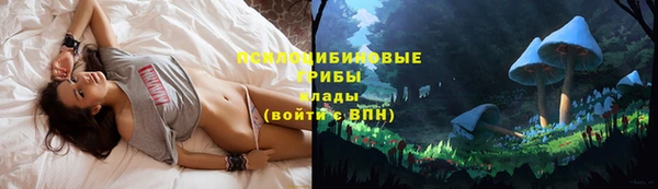 гидра Горняк
