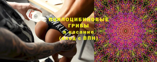 гидра Горняк