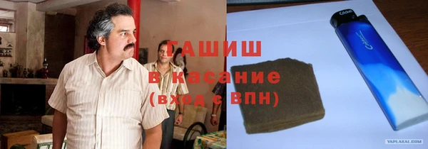 гидра Горняк