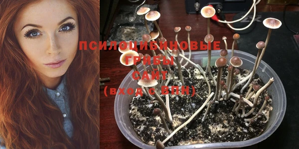 не бодяженный Горнозаводск