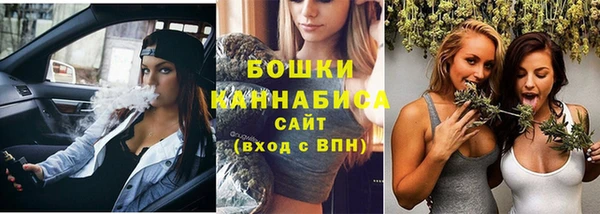 гидра Горняк