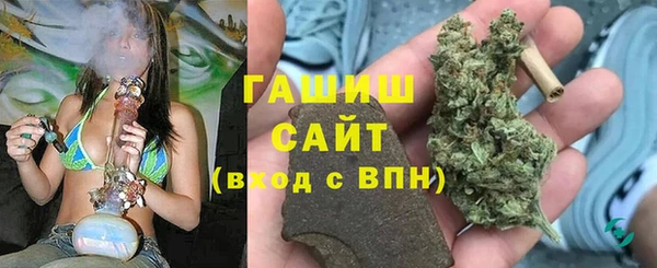 сатива Горно-Алтайск
