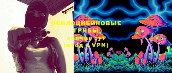 гидра Горняк