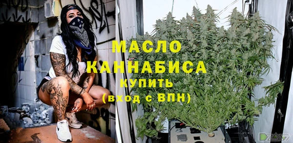 гидра Горняк