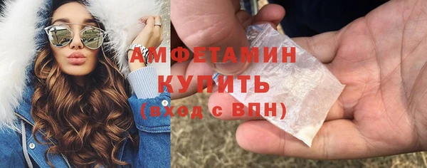 гидра Горняк